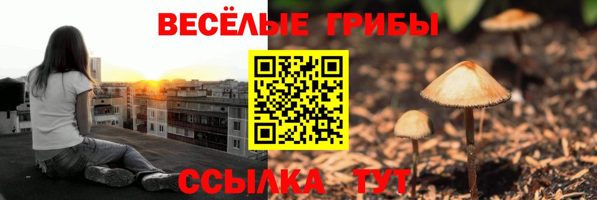 Псилоцибиновые грибы мухоморы  Вход с VPN  даркнет сайт  Галлюциногенные грибы мухоморы  Свободный 